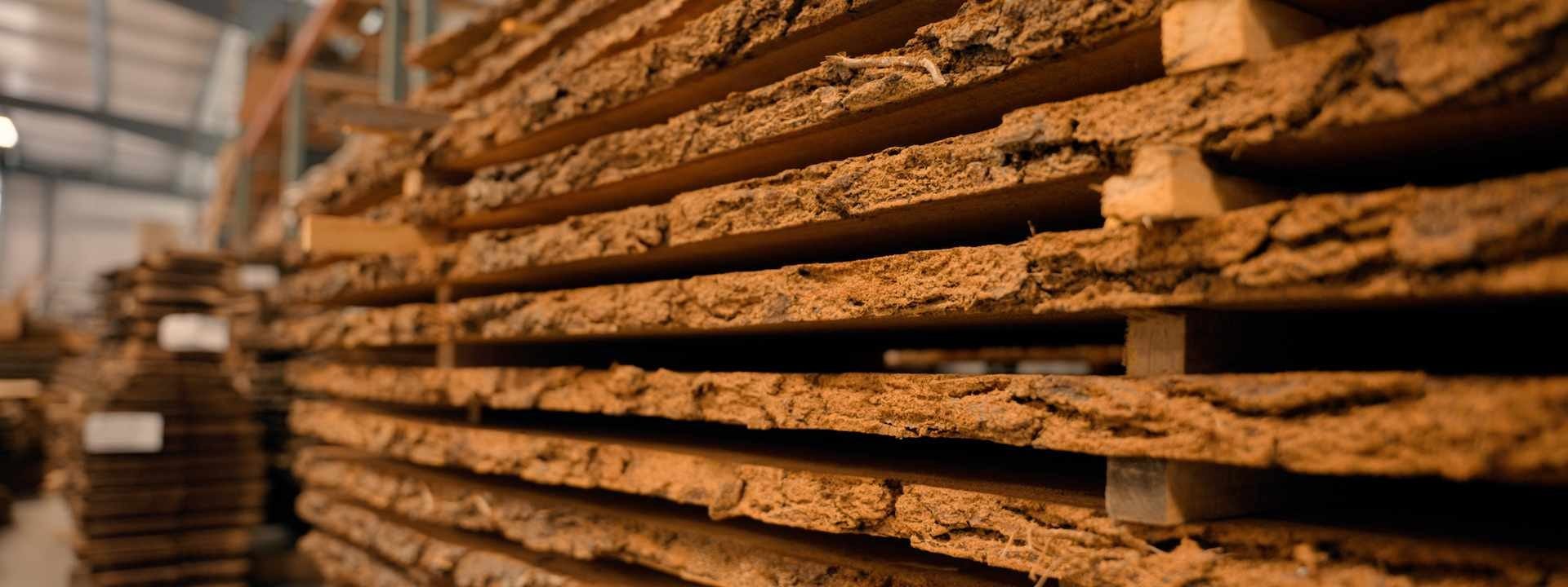 Riverside Logging & Sawmill, Ohio, USA