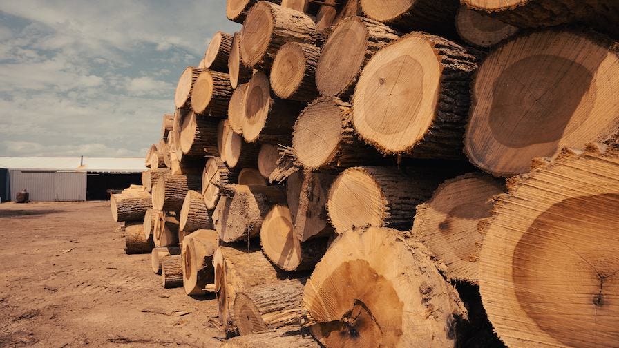 Wood Stack Close Up