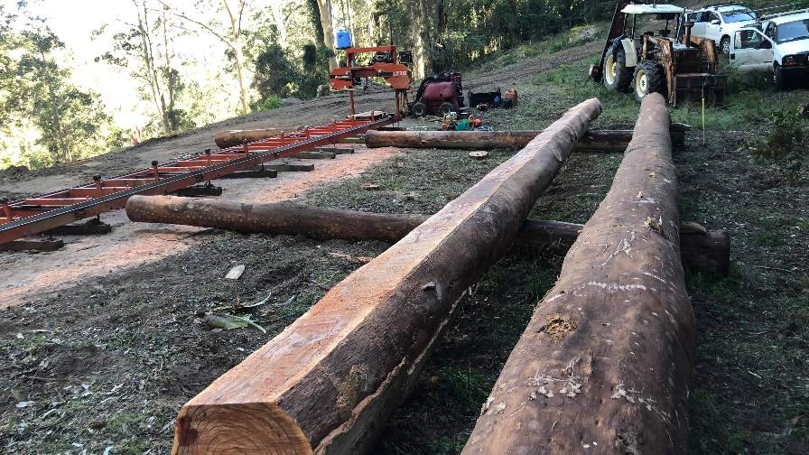 Long log sawing with sawmill