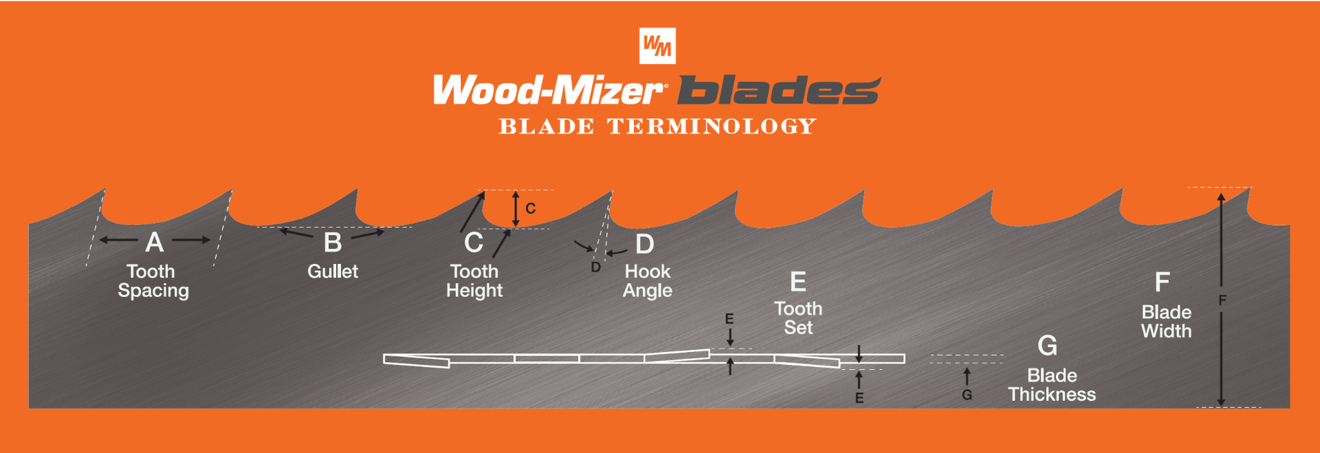 Sierra de cinta - max. ø 28 x 11' (ø 710 x 3 300 mm)  LT15 - Wood-Mizer -  para madera / de doble columna / horizontal