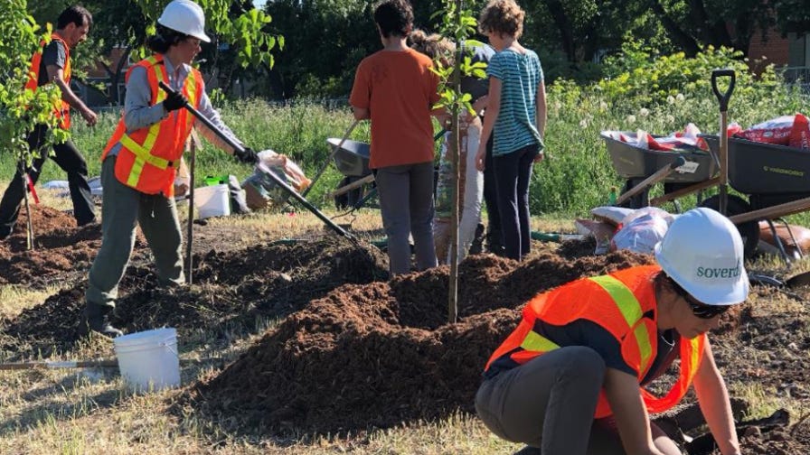 Arbres Canada bénévoles