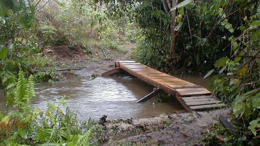 Finished wooden bridge