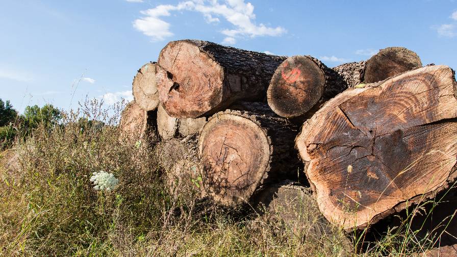 Hood Farms Logs