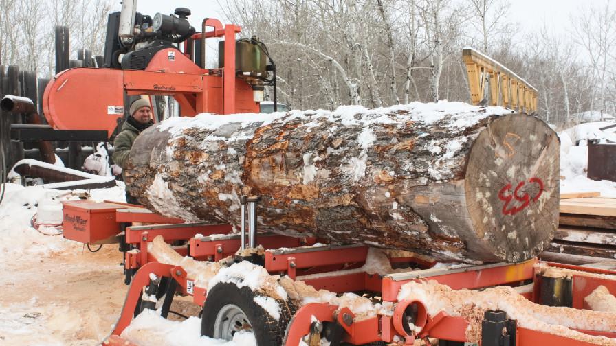 Wood-Mizer LT40 band sawmill with snowy log